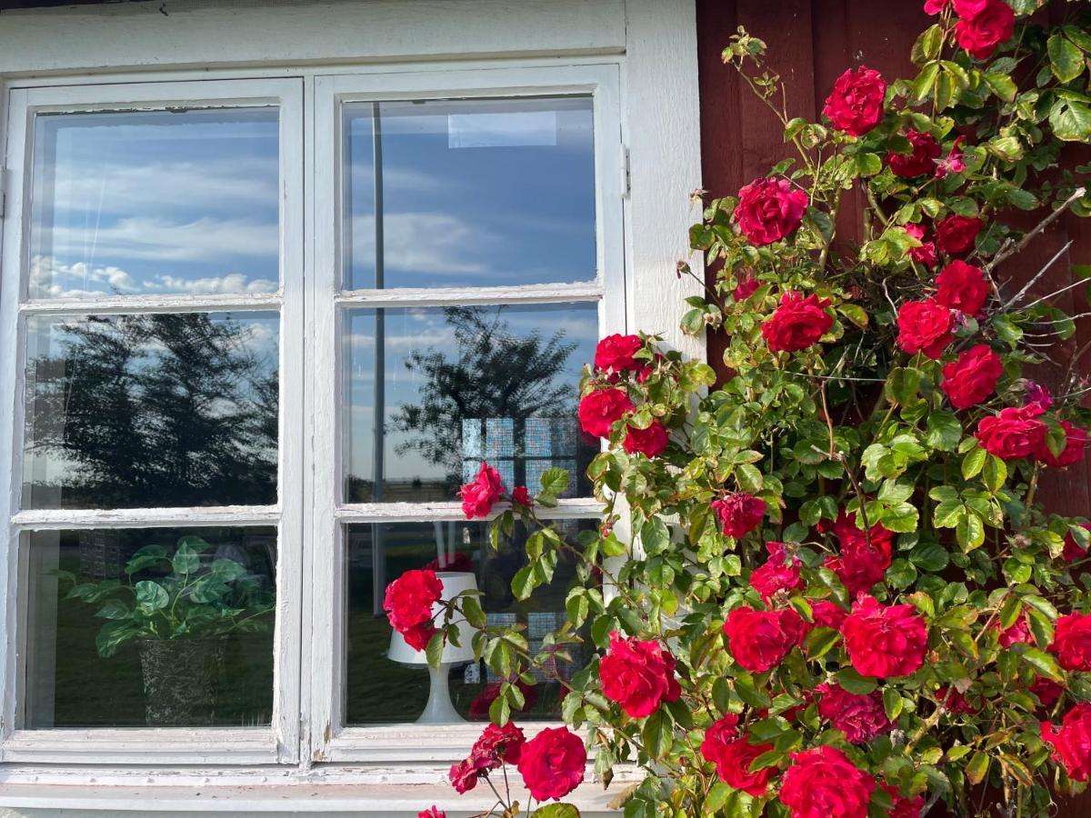 Villa Kapelludden Oestra Oeland à Köpingsvik Extérieur photo